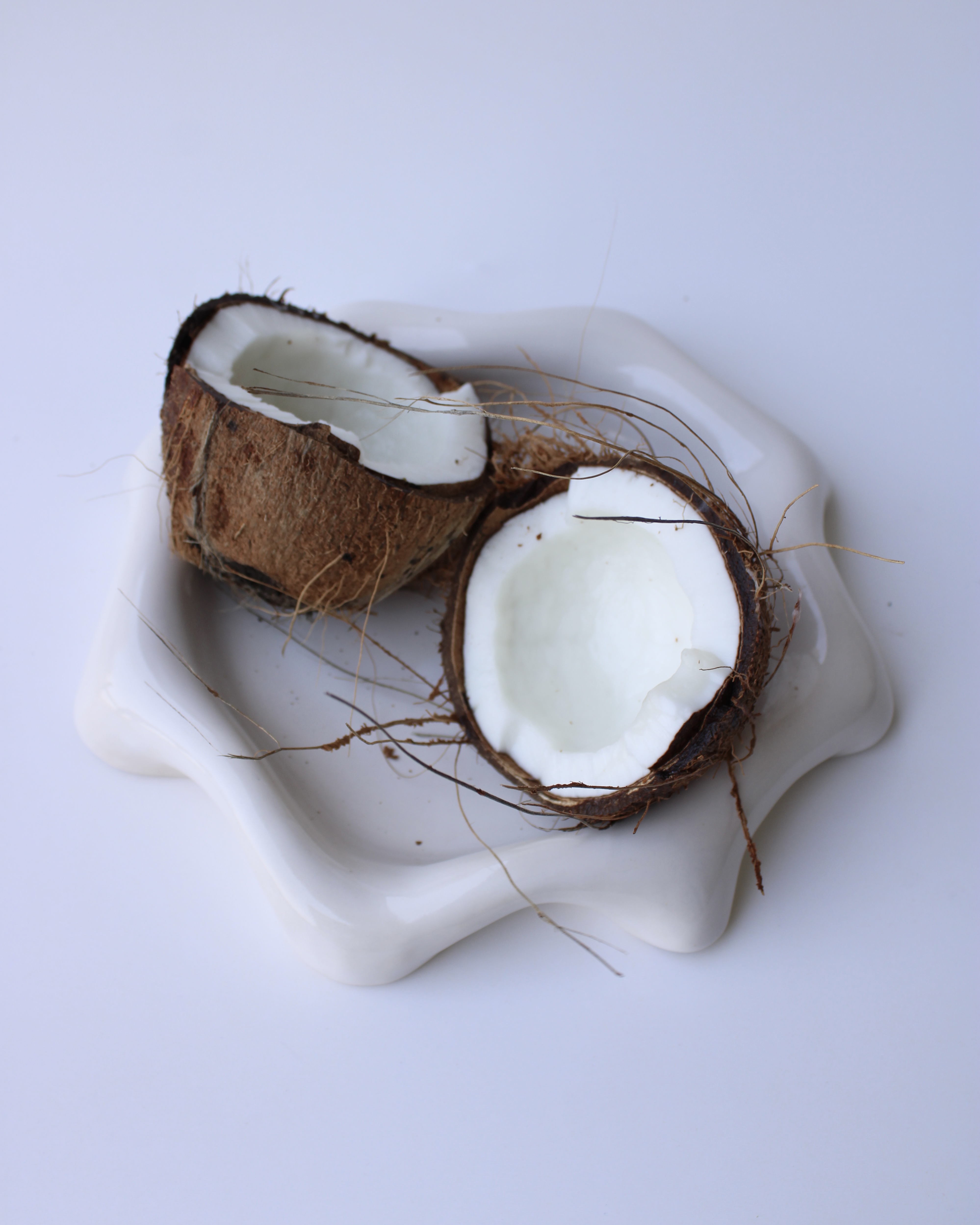 Calla Folded Plate view 2