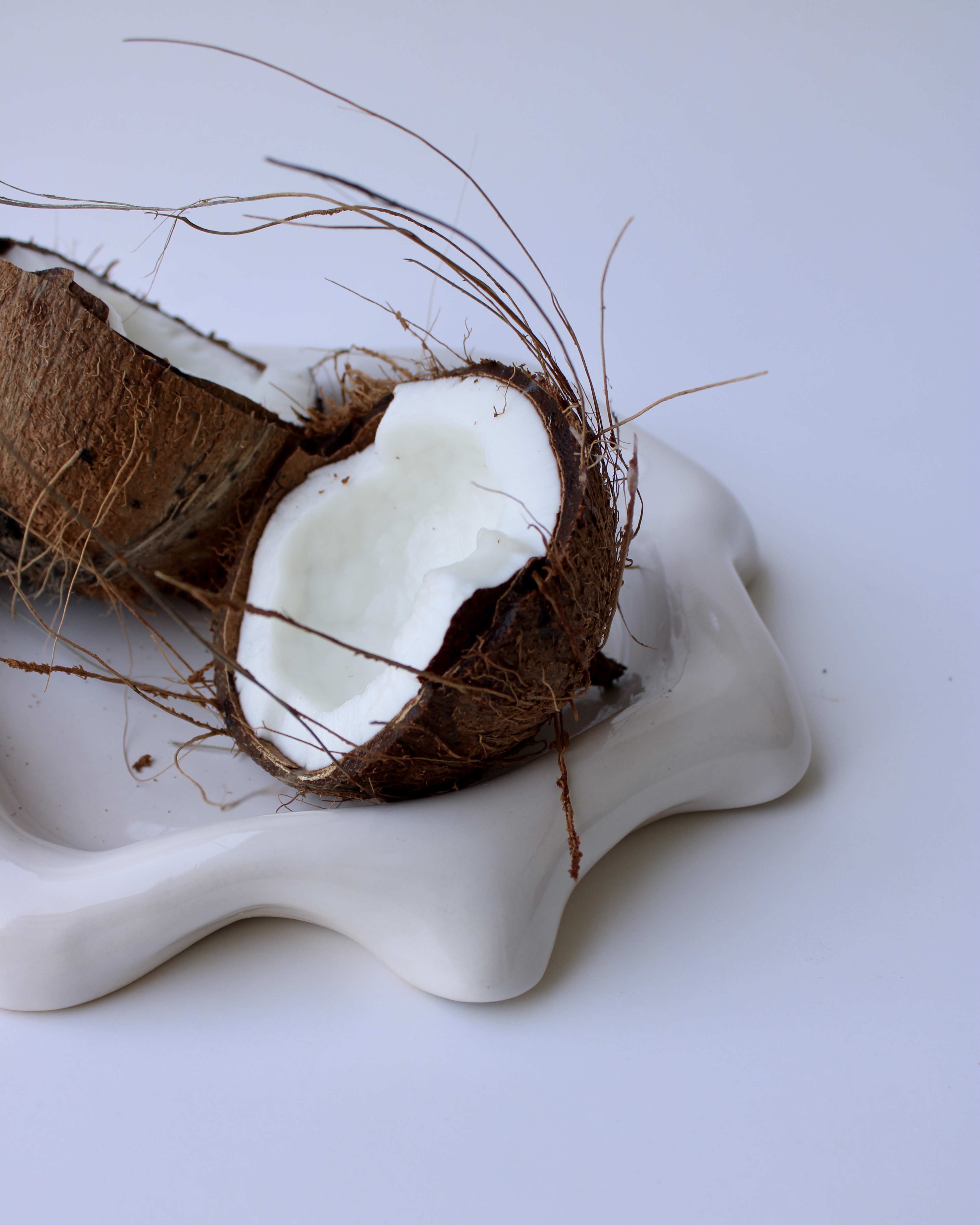 Calla Folded Plate view 1